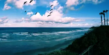San-elijo-state-beach