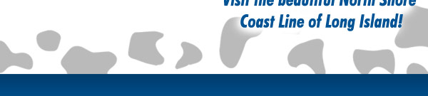 Save 5 dollars on the Cow Harbor 10K! Code: COWHARBOR5 ~ https://beta.active.com/northport-ny/running/races/the-great-cow-harbor-10k-run-2013