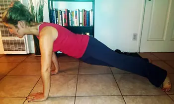 Plank Twists