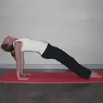 Pose of the Month: Inverted Plank Pose