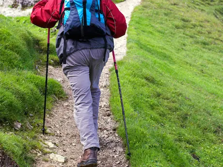 hiker walking pole