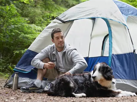 A Checklist for Camping With Your Dog