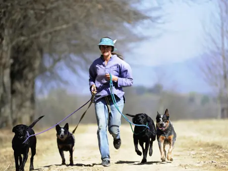 Running with dogs