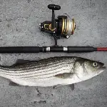 Campgrounds for Saltwater Fishing